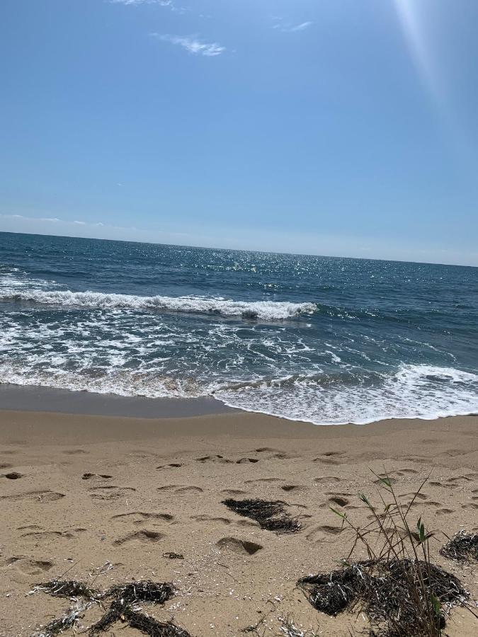 Аппартамент Pines Beach Resort Byala  Esterno foto